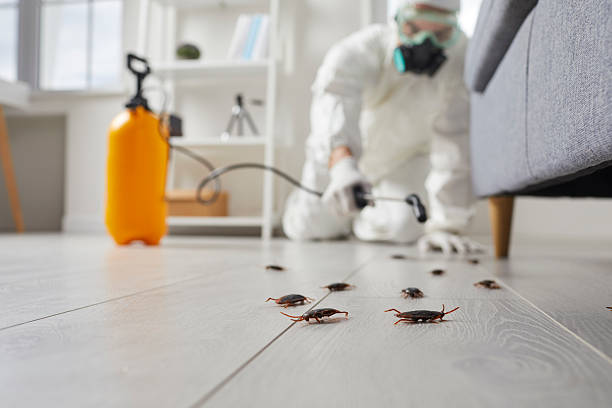 Post-Treatment Bed Bug Interceptor Monitoring in Cocoa